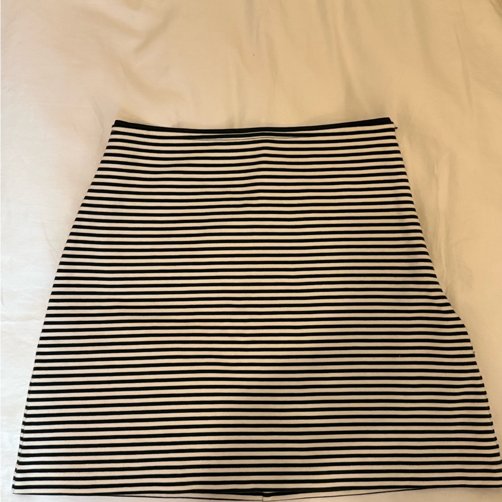 Everlane Black and White Striped A-Line Skirt